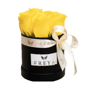 Cutie 5 trandafiri Bringhton