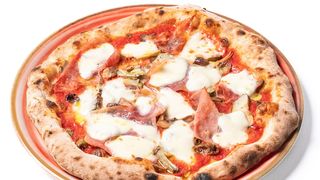 CAPRICCIOSA DI LEONARDO