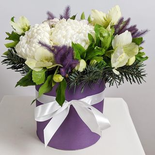 იასამნისფერი კომპოზიცია 1147