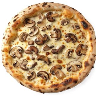 Pizza Funghi