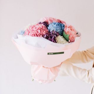 ასფურცელა