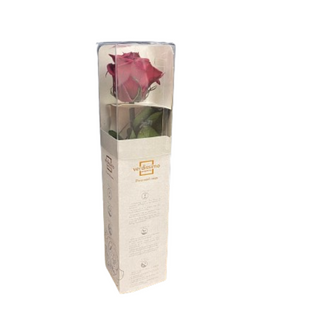 Rosa Eterna Vermelha 40cm