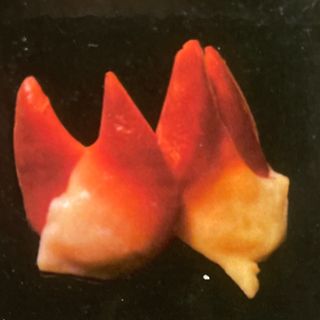 79b.Sashimi De Vieira De Norte (6 Pzs.)