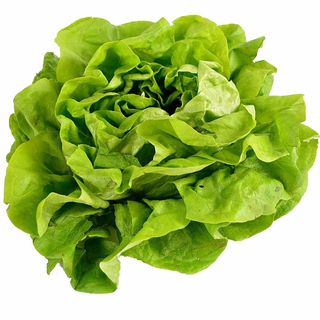 Insalata 500 g
