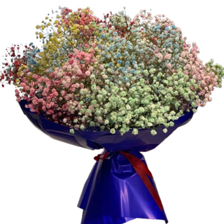 Bukiet gipsówki kolorowej <<L<<