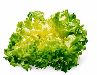 Insalata indivia scarola 600gr