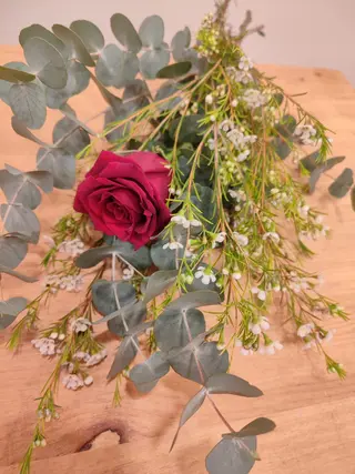 Rosa Individual