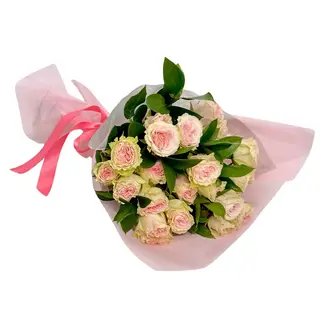 Trandafirasi roze