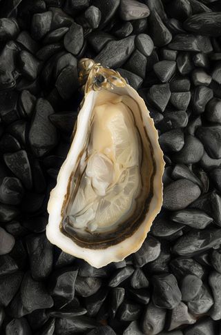 Ostras Speciale Normandia N0 (12 Uds.)