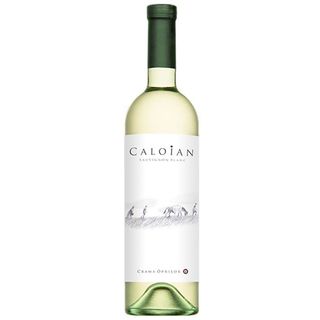 Caloian Sauvignon Blanc sec