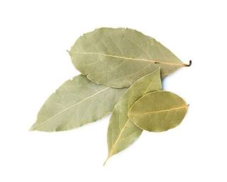 Feuilles de Laurier - La Botte