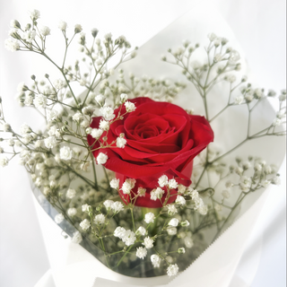 Rosa Elegante roja 1 ( unidad) 