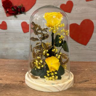 CUPULA DE ROSA ETERNA AMARILLA