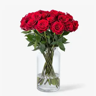 Ramo de 24 Rosas Rojas