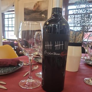 Vino Tinto 13 Cantaros Nicolás