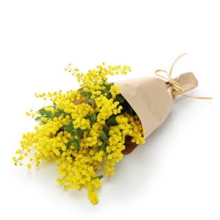 Bouquet Di Mimosa