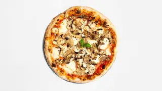 Funghi