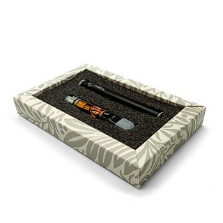 MOTOR VAPER USB-C PEN + CARTUCHO CBD