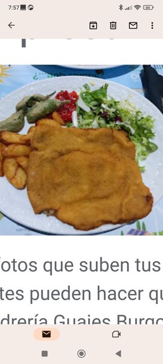 Cachopo L jamón bodega y queso suave y guarnicion