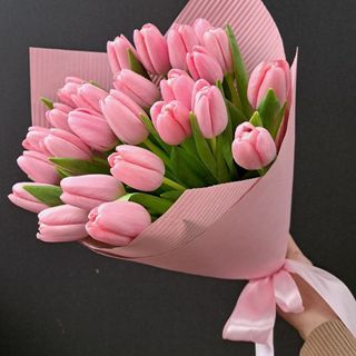 25 różowych tulipanów