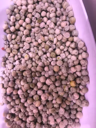 Pèsol (300 G.)