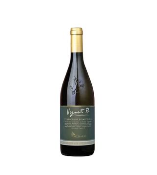 Vigneti Bio Verdicchio di Matelica