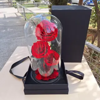 Vječite ruže 3 komada u zvonu, veća