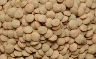 Lenteja Castellana (1 Kg.)