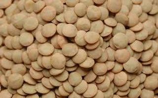 Lenteja Castellana (1 Kg.)