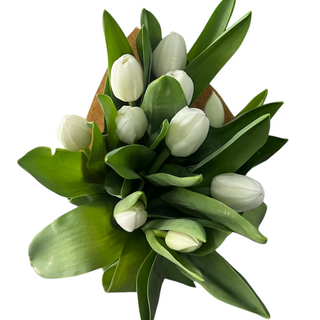 Ramo tulipanes blancos 