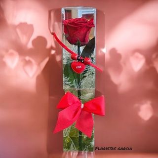 Rosa eterna roja love