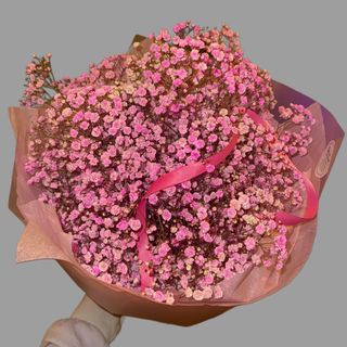 Bukiet różowej gipsówki