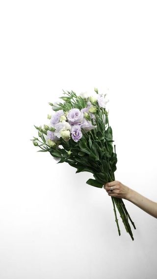 Bukiet Eustoma 5 szt.