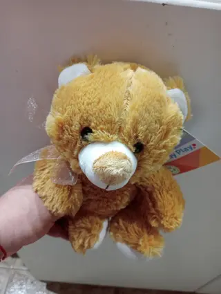 Peluche osito 