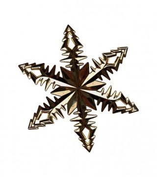 (134762) Ukras za jelku sorto CAA660520