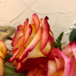 Ramo de 6 impresionantes rosas NARANJAS