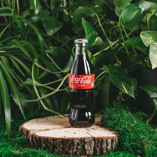 Coca-Cola (250 мл.)