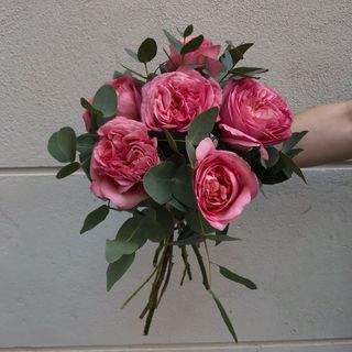 ramo de 6 rosas expresión premium con verdes 