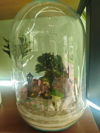 Terrarium Uovo Stabilizzato 