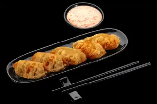 Gyoza chicken