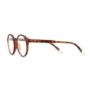 Gafas Le Marais Tortoise +2,50 - 5060655494253