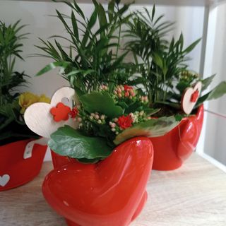 Composizione vaso in ceramica cuore