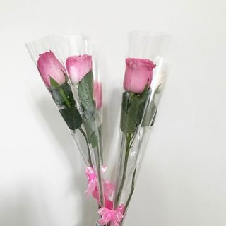 3 roses mélanges séparées 