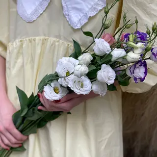 ფერადი ეუსტომა (10 ტოტი)