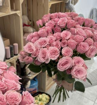 Róża gałązkowa różowa