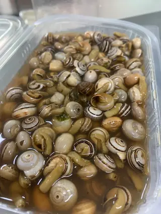 Caracóis 