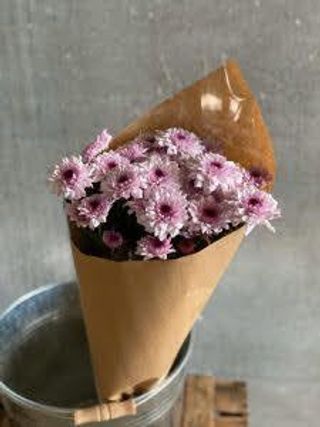 Pomo De Margaritas Para Casa Larga Duración