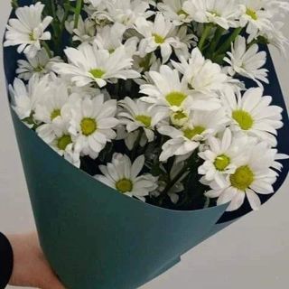 ქრიზანთემები