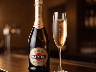 Вино ігристе Martini Prosecco 0.75 л (750ml)