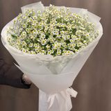 Букет з ромашок «Танацетум»